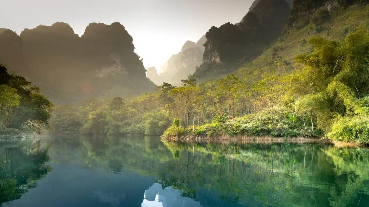 高质量高端高端